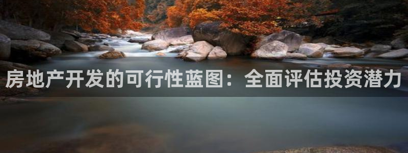 永利房地产有限公司董事长是谁
