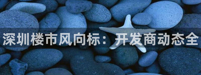 永利表行是正品吗