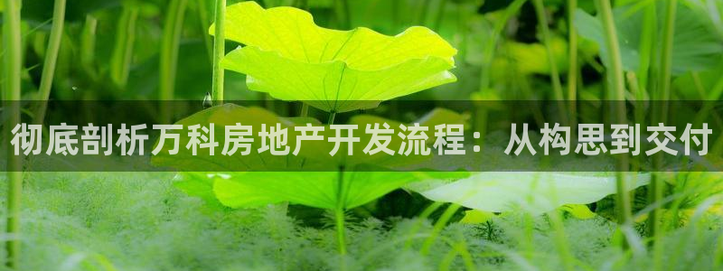 永利被黑不给出款解决方法