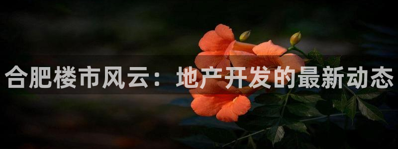 永利制衣厂