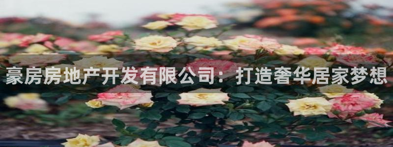 永利制带合作的公司