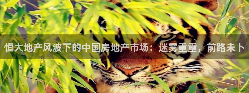 永利官网中文