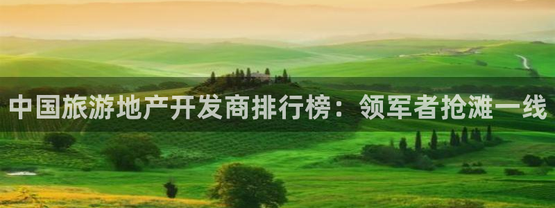 永利是做什么的