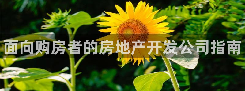 永利带钢