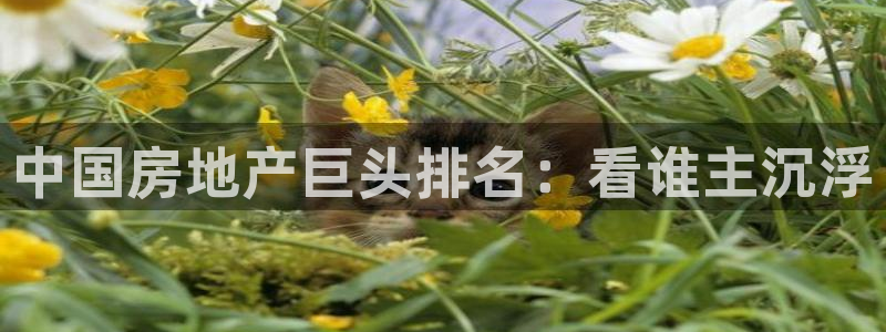 3044am永利集团