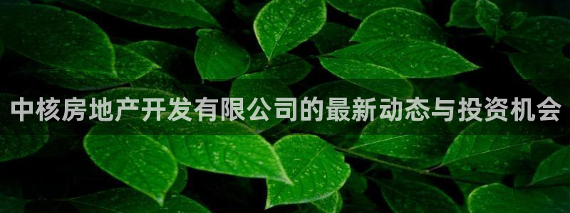 永利汇茶具官网