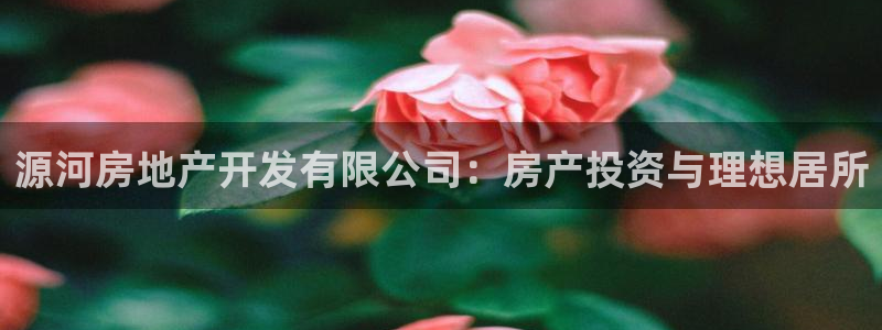 永利集团简介