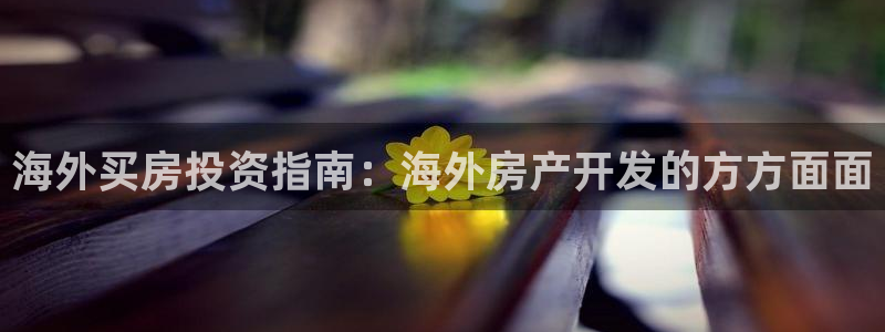 永利集团董事长简历