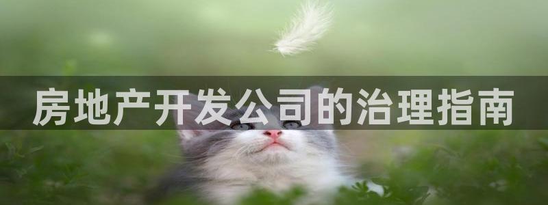 永利大酒店事件