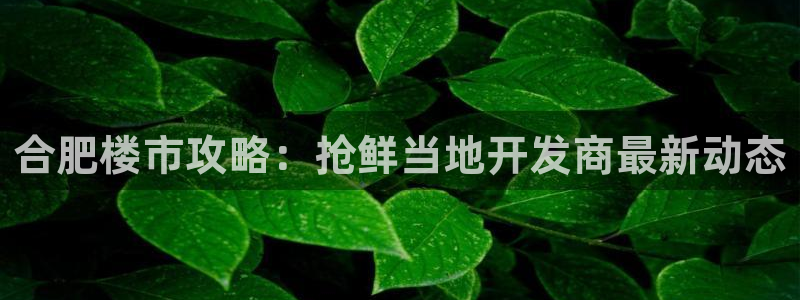 永利汇茶具官网