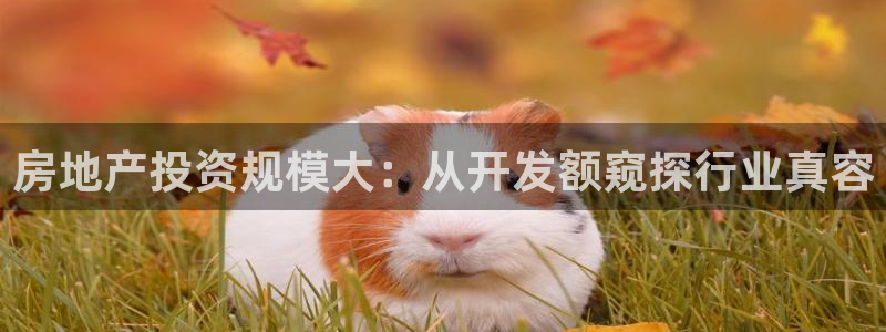 永利皮具lv工厂