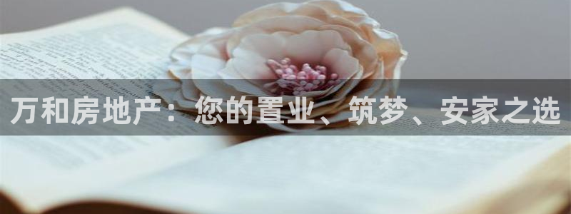 永利皮带型号说明图解