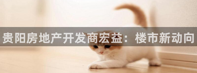 为什么永利网址打不开