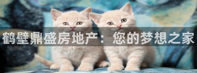 永利家具厂怎么样