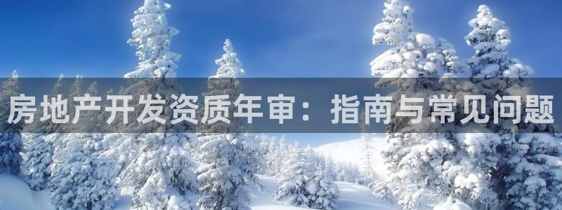 永利集团简介