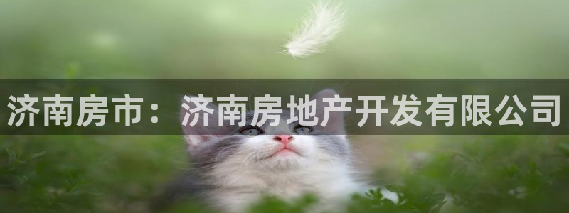 永利集团304am官方入口版