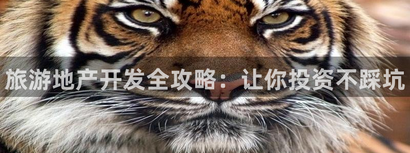 佛山永利车业