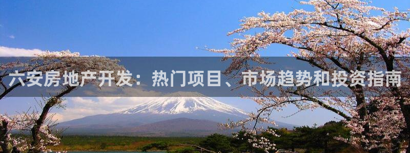 永利输的钱可以弄回来吗