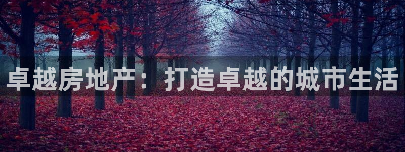 滨州永利顺运输有限公司