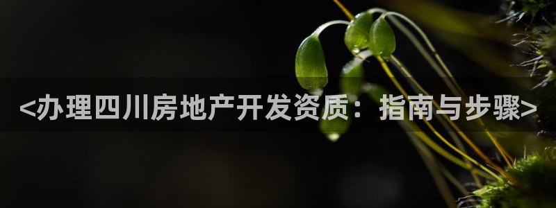 永利创始人