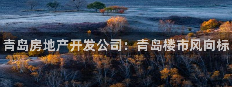 金沙永利夜总会怎么样
