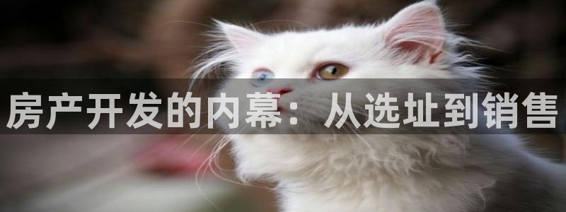 永利表业制品厂