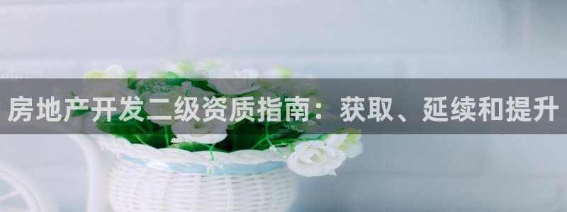 永利公司是干嘛的