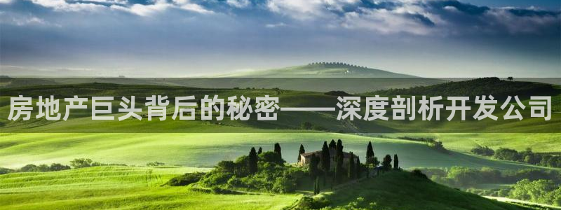永利房地产有限公司怎么样