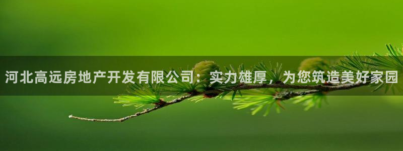 永利股份公司