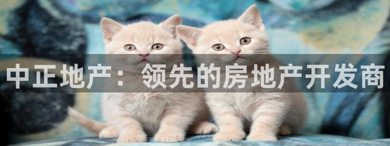 有人在永利赢过钱的吗