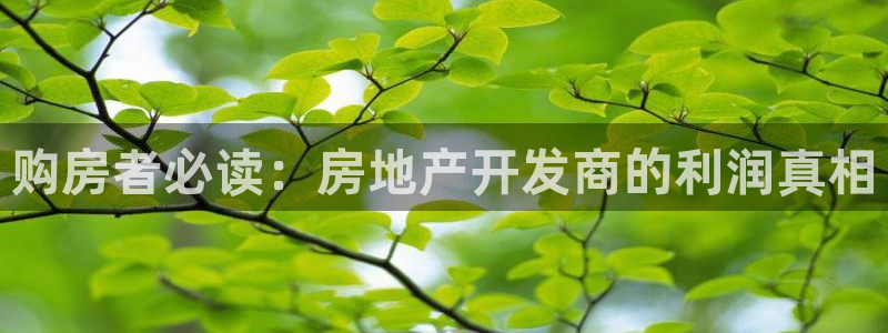 永利酒店购物