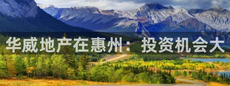 永利是做什么的