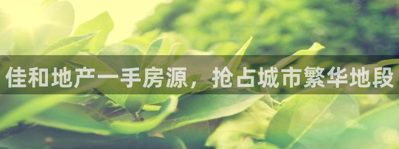 广州永利汇