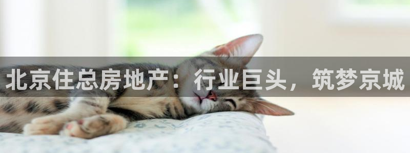 永利股份两大最新消息是什么