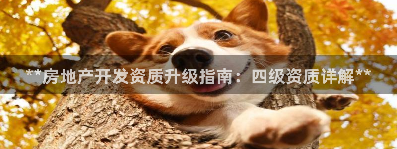 永利积分兑换