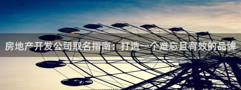 永利皮带型号说明图