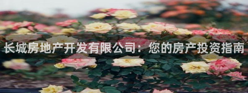 广州永利汇