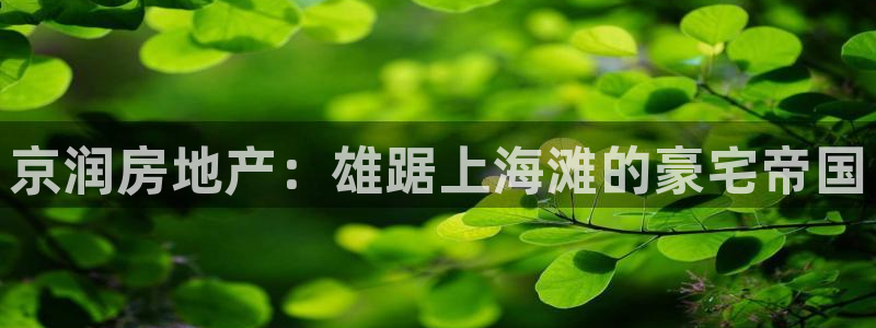 永利皮带官网价格查询系统