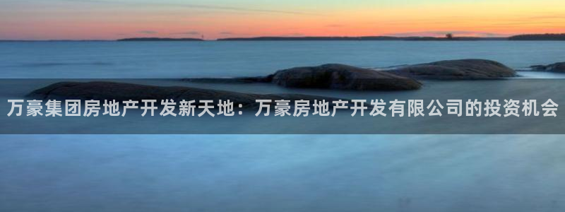 滨州永利篮球俱乐部老板