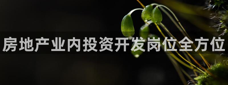 永利皮带型号
