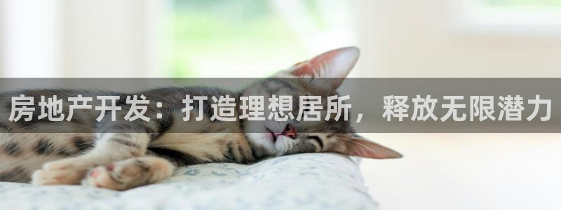 永利股份(300230)