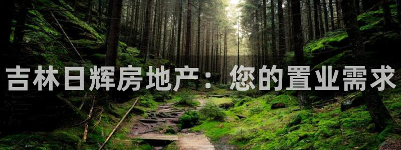 永利nev可靠吗