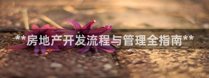 永利网9900777邀请码