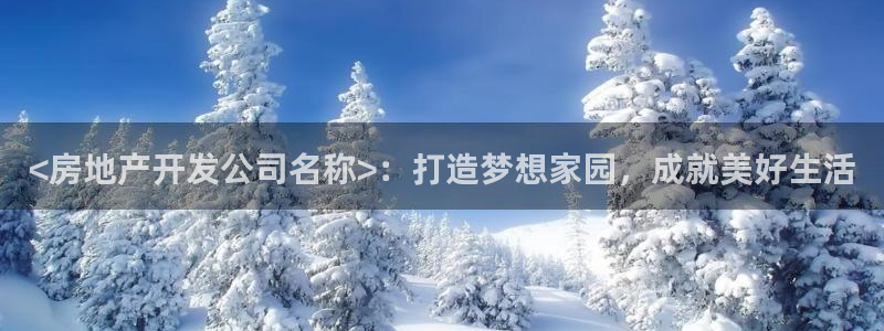 永利皮带报价