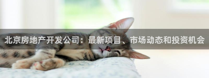 谁知道永利的网址