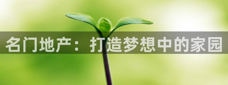 永利官网是什么