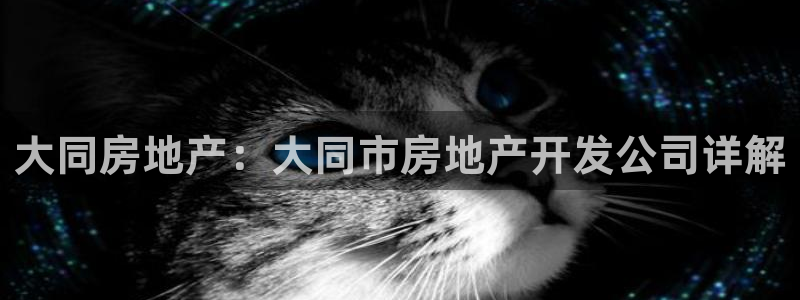 永利不给提款怎么办?