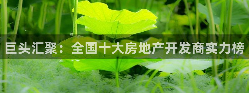 永利表行假货
