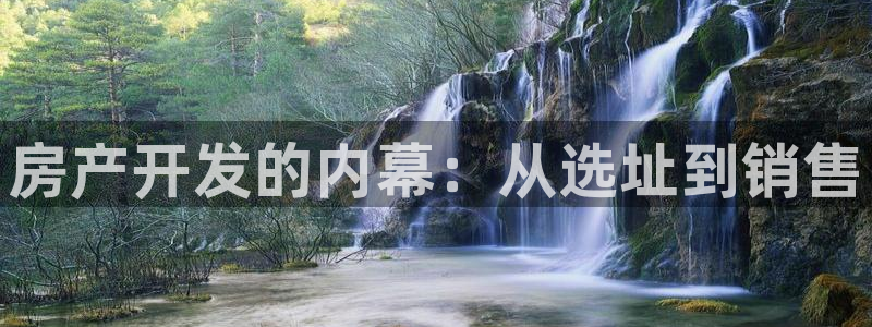 永利皮带官网