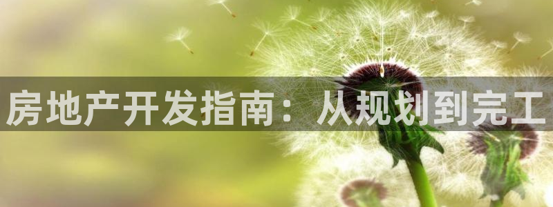永利股1128